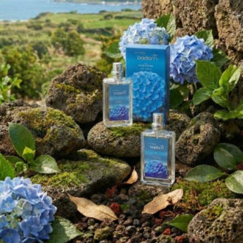 제주바담 수국 오드퍼퓸 30ml