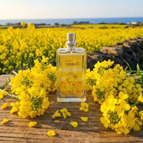 제주바담 유채 오드퍼퓸 30ml