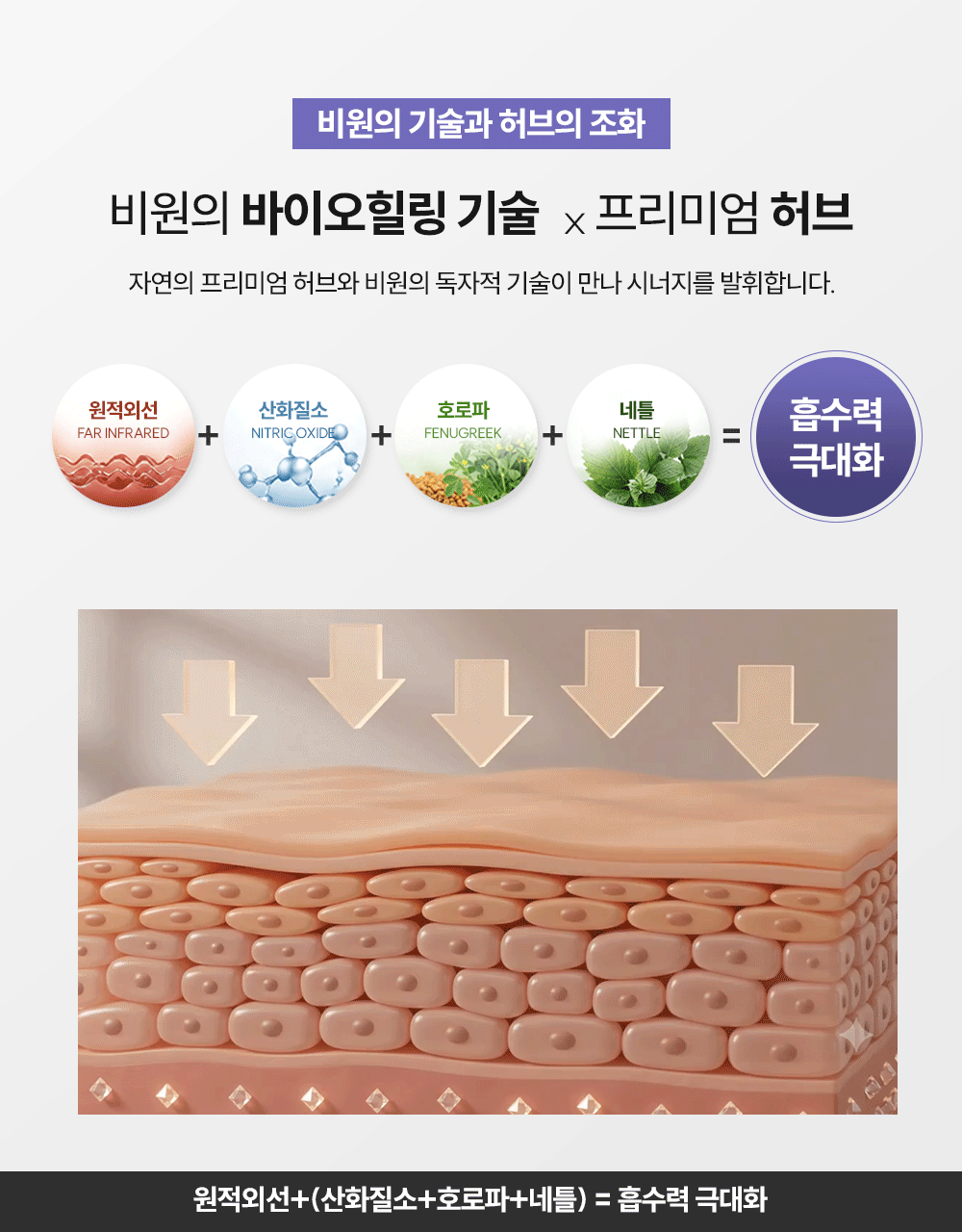 바이오힐링 파네라엔패치 40EA/혈당조절 췌장 건강에 도움 (원적외선+산화질소+호로파)